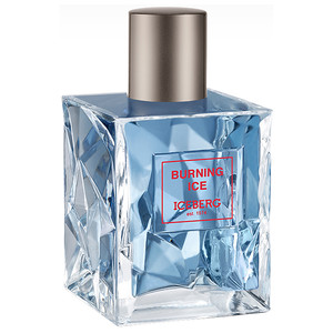 Iceberg Burning Ice Eau de Toilette Spray 100ml